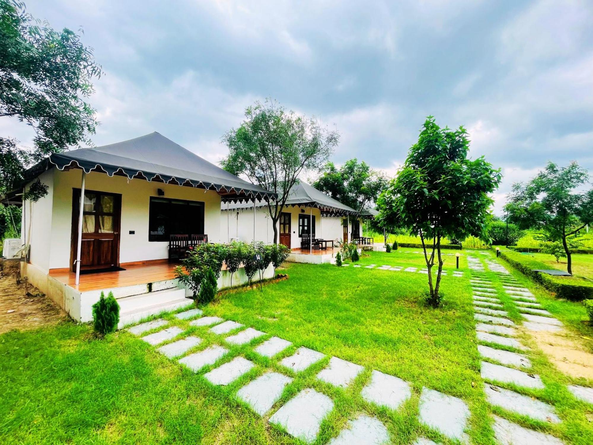 Cattle Inn Resort - Luxury Cottages Пушкар Екстер'єр фото